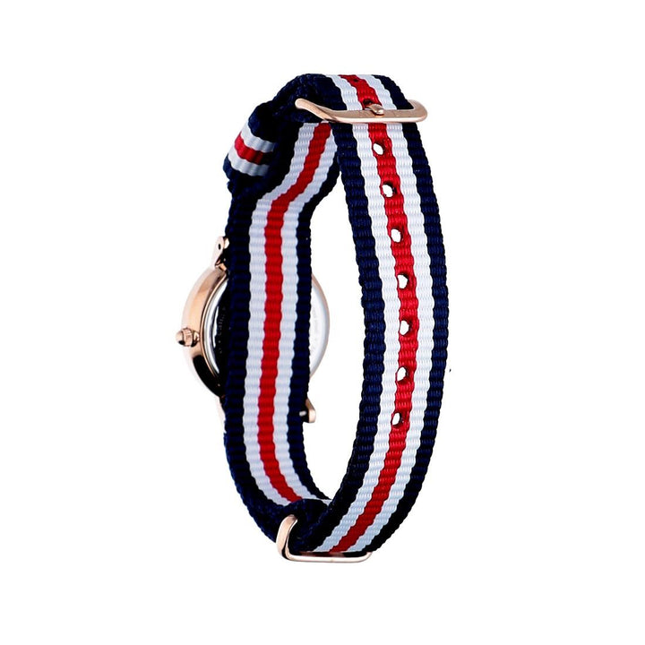 Daniel Wellington Classic Petite Silver Dial Three Tone Nylon Strap Watch for Women - DW00100255