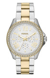 Fossil Cecile White Dial Two Tone Steel Strap Watch for Women - AM4543