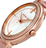 Michael Kors Cinthia Mother of Pearl Rose Gold Dial Rose Gold Steel Strap Watch for Women - MK3643
