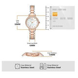 Emporio Armani Cleo Mother of Pearl Dial Two Tone Steel Strap Watch For Women - AR11499