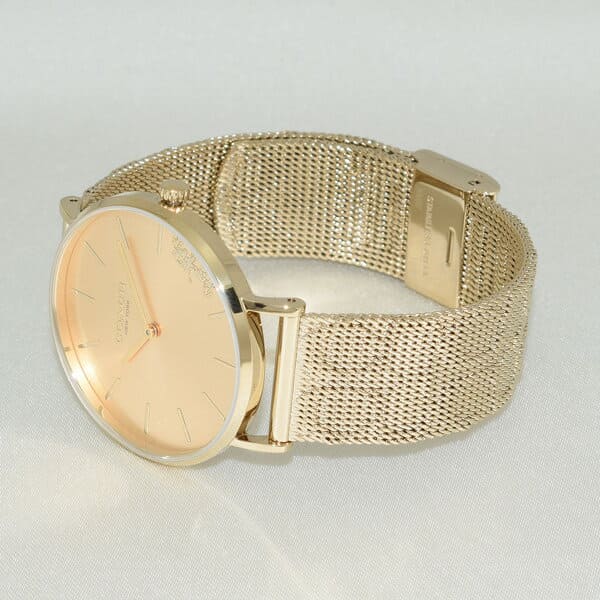 Coach Perry Gold Dial Gold Mesh Bracelet Watch for Women - 14503342