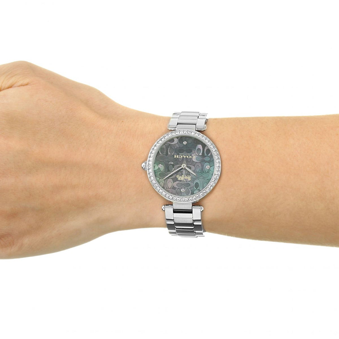 Coach Park Mother of Pearl Blue Dial Silver Steel Strap Watch for Women - 14503224