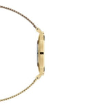 Daniel Wellington Classic Petite Evergold White Dial Gold Mesh Bracelet Watch For Women - DW00100346