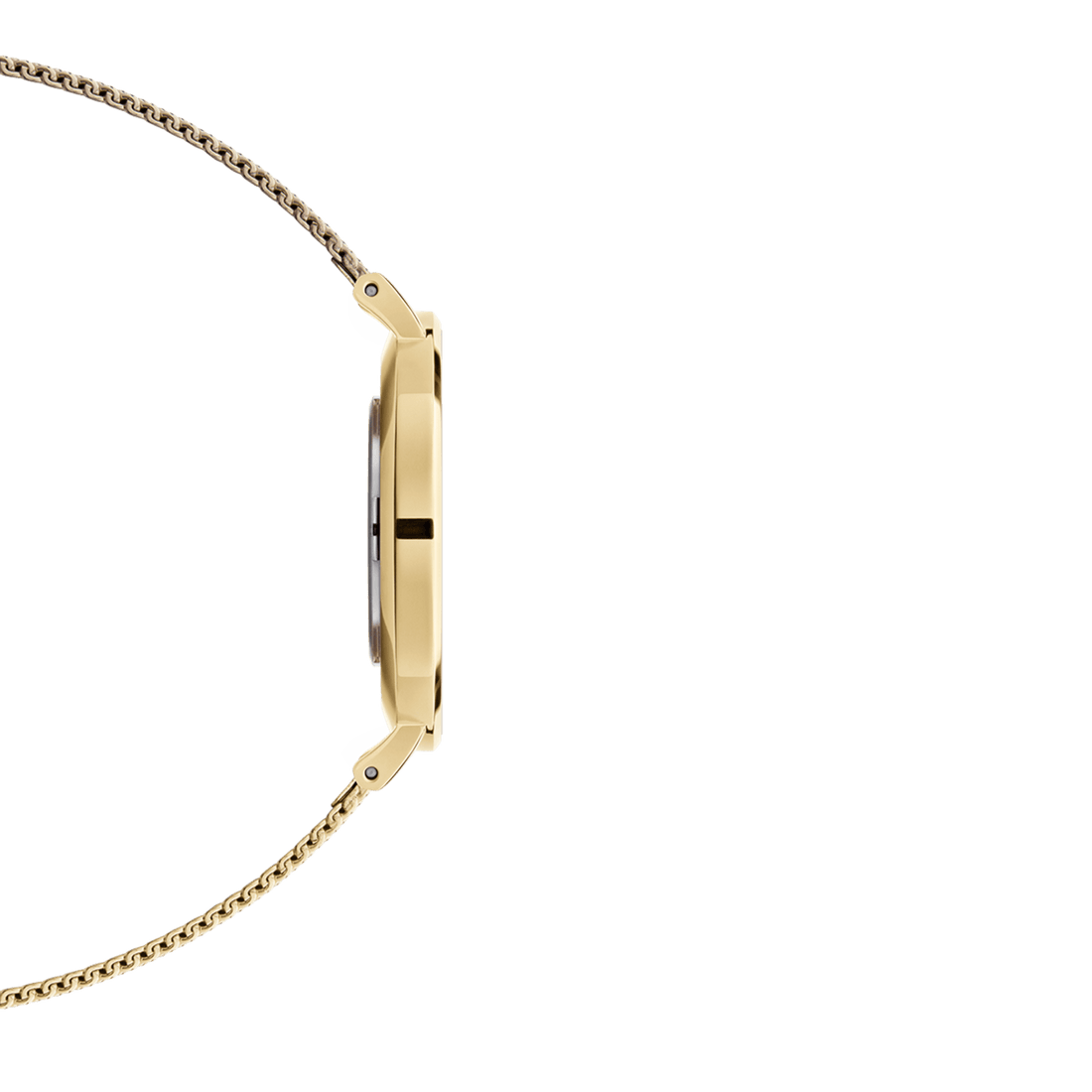 Daniel Wellington Classic Petite Evergold White Dial Gold Mesh Bracelet Watch For Women - DW00100350