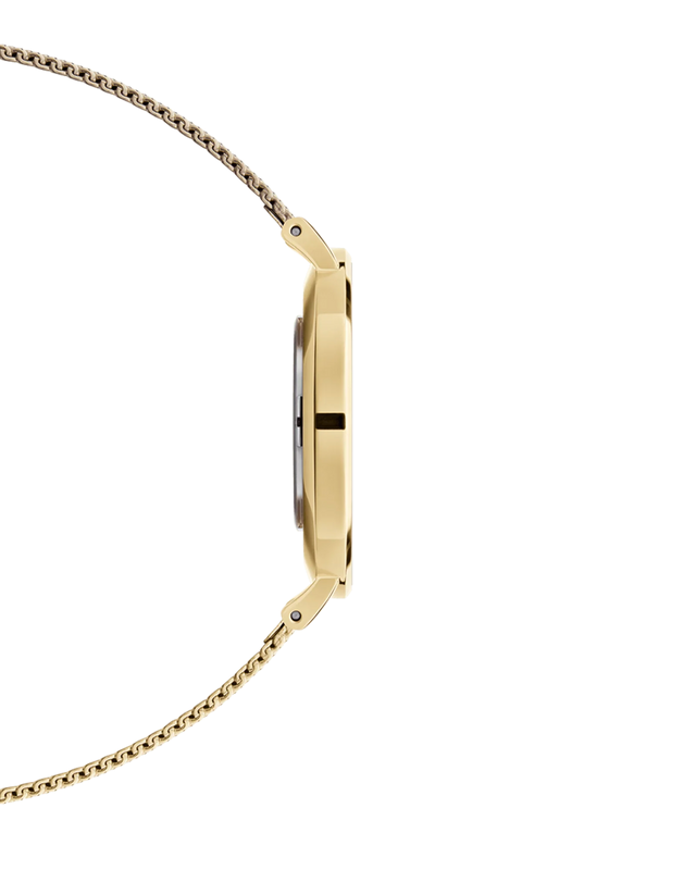 Daniel Wellington Petite Evergold Black Dial Gold Mesh Strap Watch For Women - DW00100345