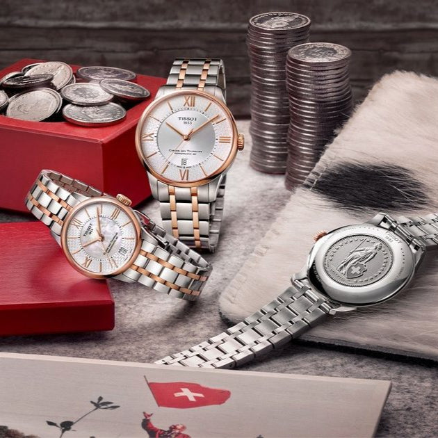 Tissot Chemin Des Tourelles Powermatic 80 Helvetic Price Lady Silver Dial Two Tone Steel Strap Watch For Women - T099.207.22.118.01