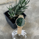 Daniel Wellington Petite Emerald Green Dial Gold Mesh Strap Watch For Women - DW00100480