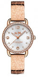 Coach Delancey Silver Dial Rose Gold Steel Strap Watch for Women - 14502355