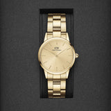 Daniel Wellington Iconic Link Unitone Gold Dial Gold Steel Strap Watch For Women - DW00100403