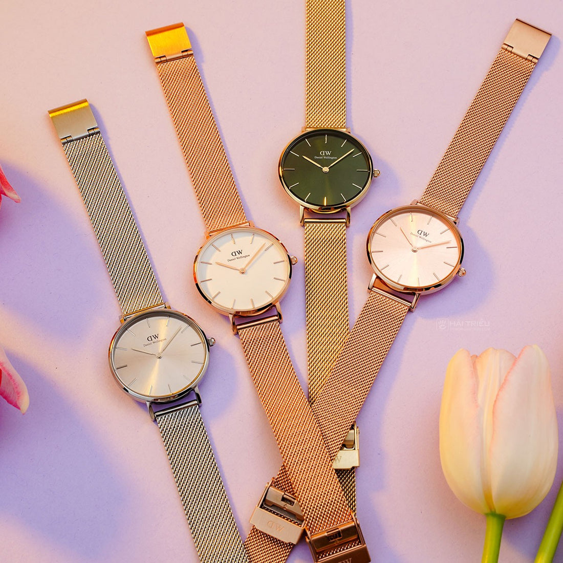 Daniel Wellington Petite Emerald Green Dial Gold Mesh Strap Watch For Women - DW00100480