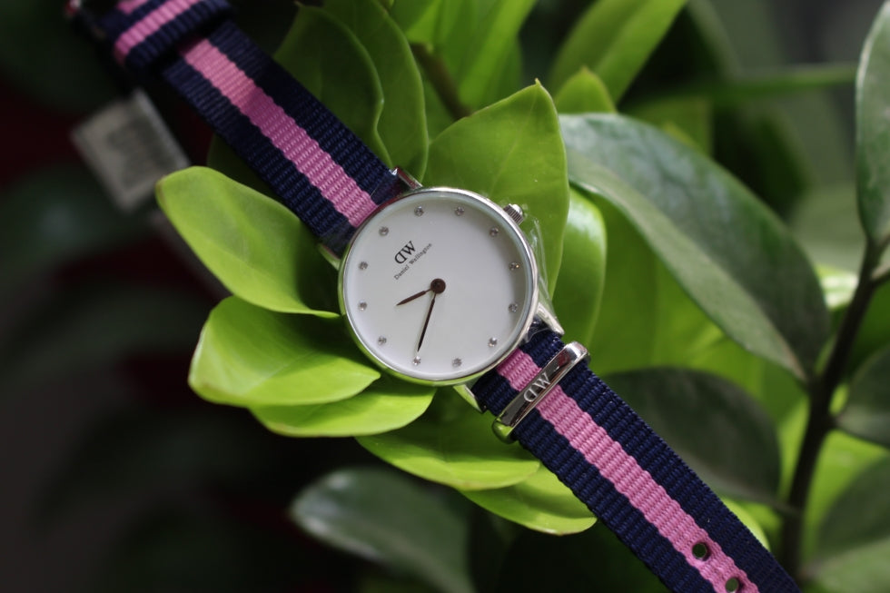 Daniel Wellington Classy Winchester White Dial Two Tone NATO Strap Watch For Women - DW00100073