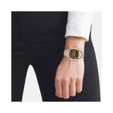 Hugo Boss Novia Brown Dial Two Tone Steel Strap Watch for Women - 1502617