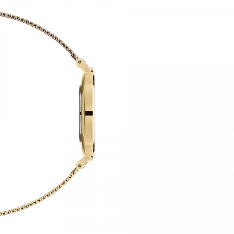 Daniel Wellington Classic Petite Evergold Black Dial Gold Mesh Bracelet Watch For Women - DW00100349