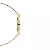 Daniel Wellington Classic Petite Evergold Black Dial Gold Mesh Bracelet Watch For Women - DW00100349