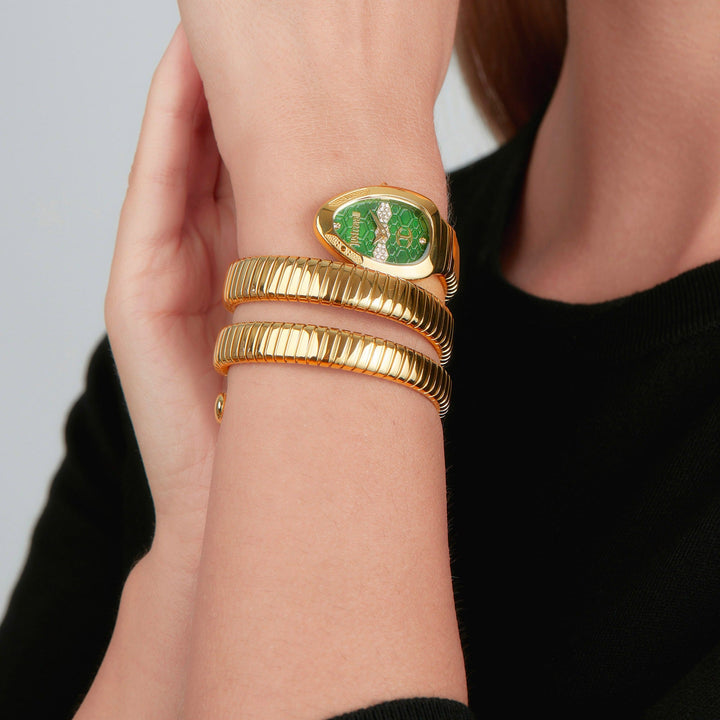 Just Cavalli Cosenza Green Dial Gold Steel Strap Watch for Women - JC1L232M0035