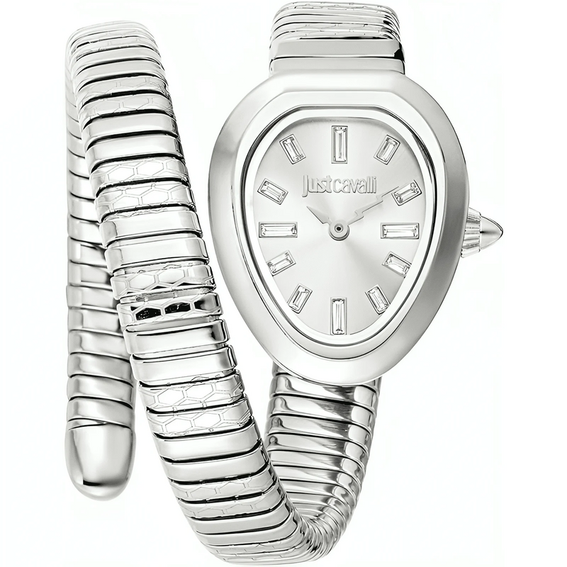 Just Cavalli Aversa Silver Dial Silver Steel Strap Watch for Women - JC1L222M0015