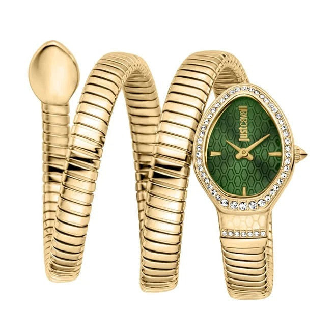 Just Cavalli Carezza Green Dial Gold Steel Strap Watch for Women - JC1L372M0035