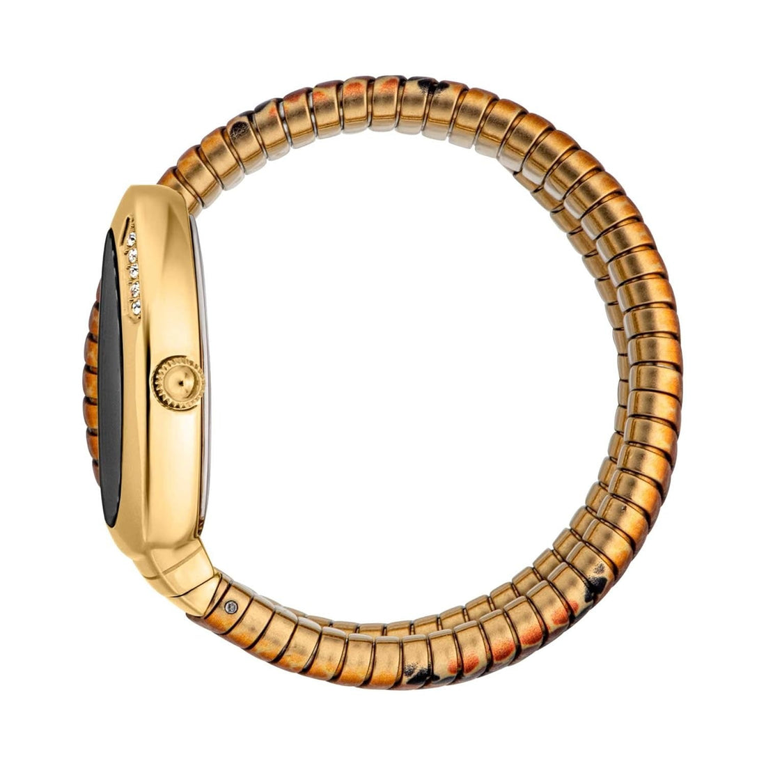 Just Cavalli Glam Evo 5 Black Dial Two Tone Steel Strap Watch for Women - JC1L251M0055