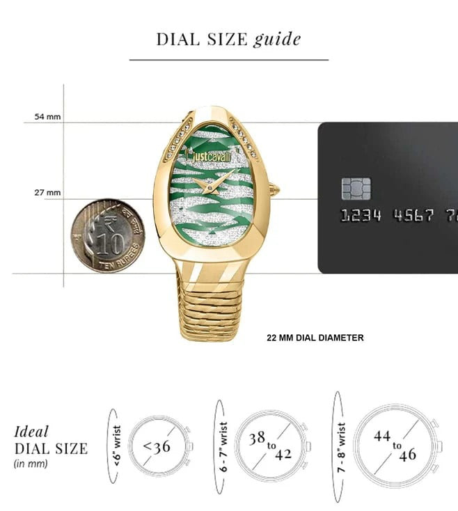 Just Cavalli Glam Evo 8 Green Dial Gold Steel Strap Watch for Women - JC1L225M0045