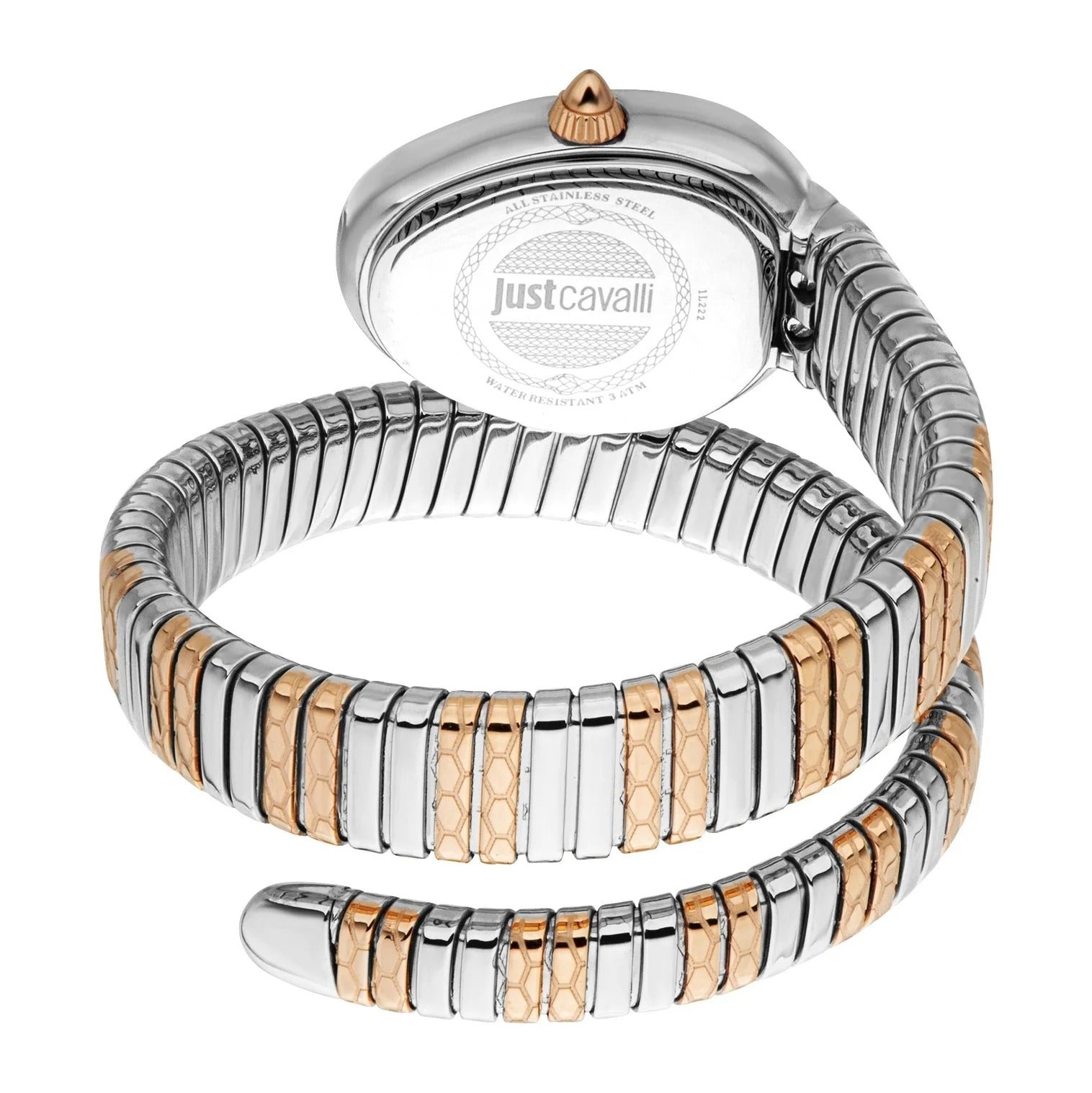 Just Cavalli Aversa Green Dial Two Tone Steel Strap Watch for Women - JC1L222M0075