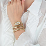 Just Cavalli Glam Evo 5 Silver Dial Gold Steel Strap Watch for Women - JC1L228M0035