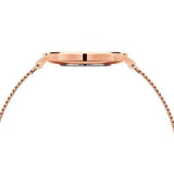 Daniel Wellington Petite Rose Gold Dial Rose Gold Mesh Bracelet Watch For Women - DW00100470