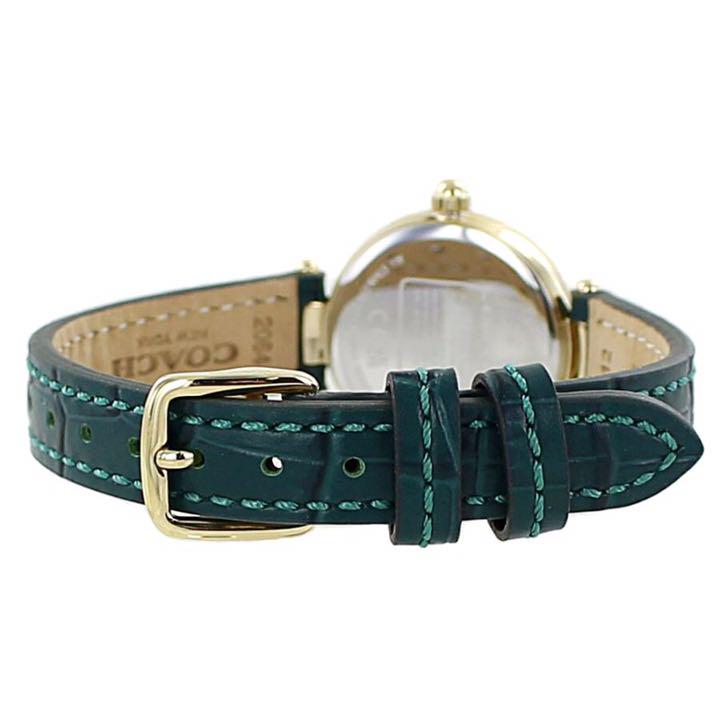 Coach Park Analog Green Dial Green Leather Strap Watch for Women - 14503534