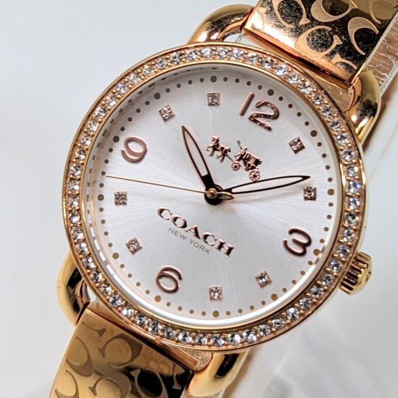 Coach Delancey Silver Dial Rose Gold Steel Strap Watch for Women - 14502355