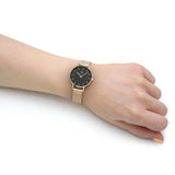 Daniel Wellington Classic Petite Evergold Black Dial Gold Mesh Bracelet Watch For Women - DW00100349