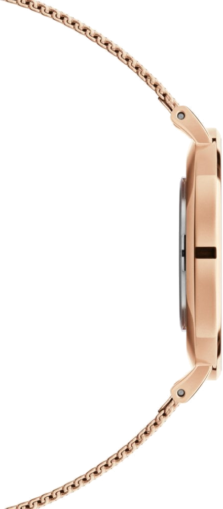 Daniel Wellington Petite Rose Gold Dial Rose Gold Mesh Bracelet Watch For Women - DW00100470